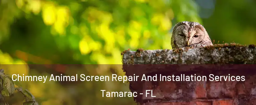  Chimney Animal Screen Repair And Installation Services Tamarac - FL