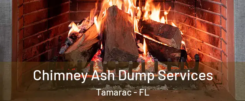  Chimney Ash Dump Services Tamarac - FL