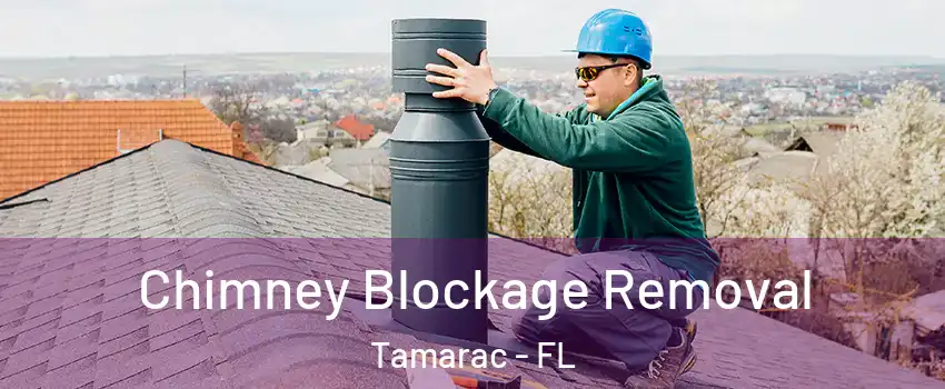  Chimney Blockage Removal Tamarac - FL