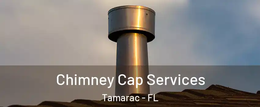  Chimney Cap Services Tamarac - FL