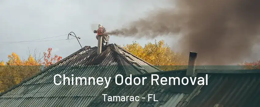  Chimney Odor Removal Tamarac - FL