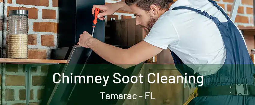  Chimney Soot Cleaning Tamarac - FL