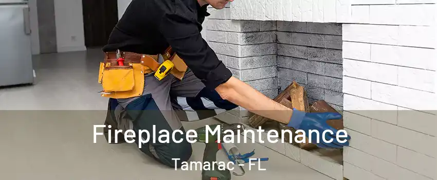  Fireplace Maintenance Tamarac - FL