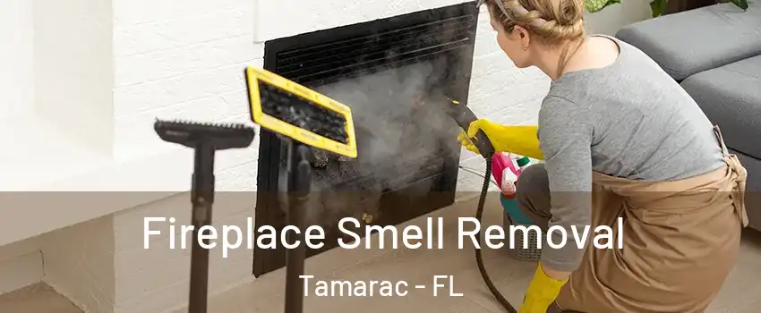  Fireplace Smell Removal Tamarac - FL