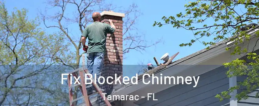  Fix Blocked Chimney Tamarac - FL