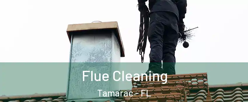  Flue Cleaning Tamarac - FL