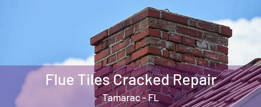  Flue Tiles Cracked Repair Tamarac - FL
