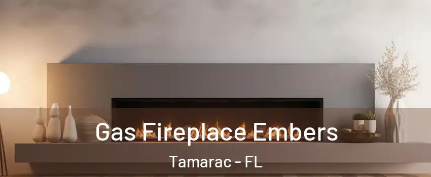  Gas Fireplace Embers Tamarac - FL
