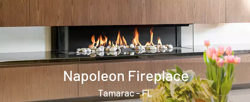  Napoleon Fireplace Tamarac - FL